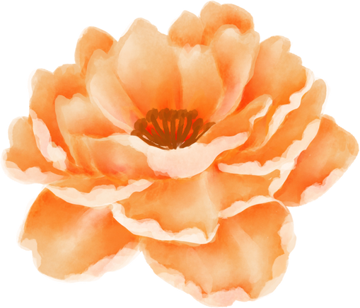 Watercolor Individual Orange Flower